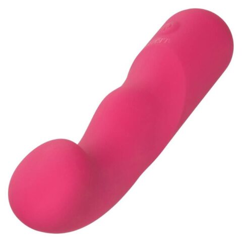 Pixies curvy rose