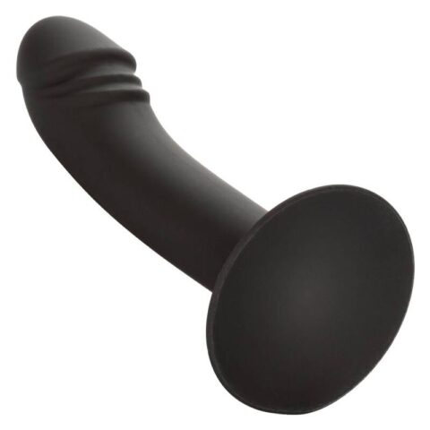 Stud anal courb? — CALEXOTICS