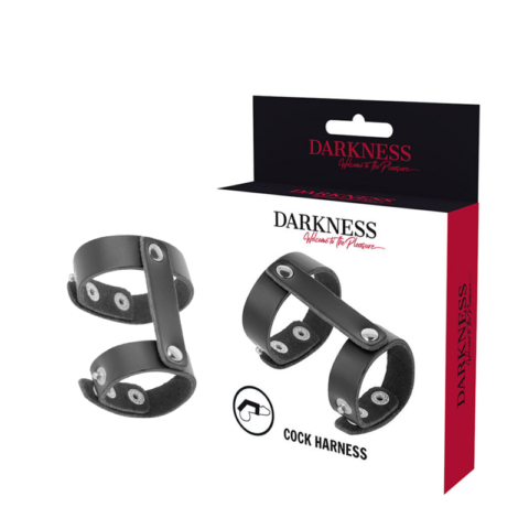 Anneau de pénis et testicules réglable en cuir — DARKNESS