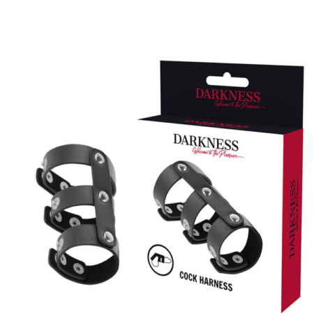 Double anneau de pénis et testicules en cuir réglable — DARKNESS