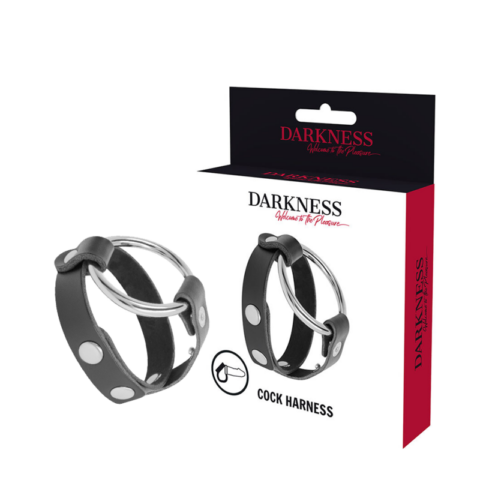 Anneau de bite et testicule bdsm — DARKNESS