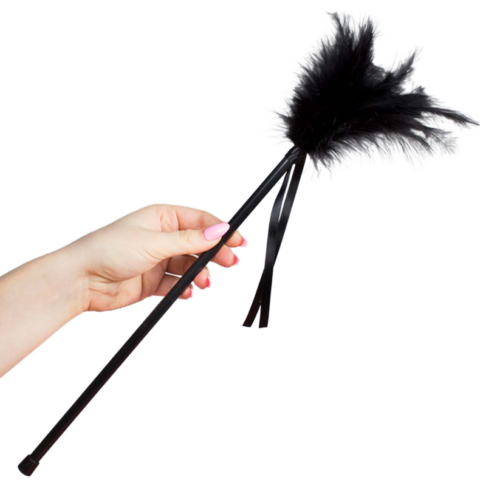 Plumes noires 40 CM — SECRETPLAY