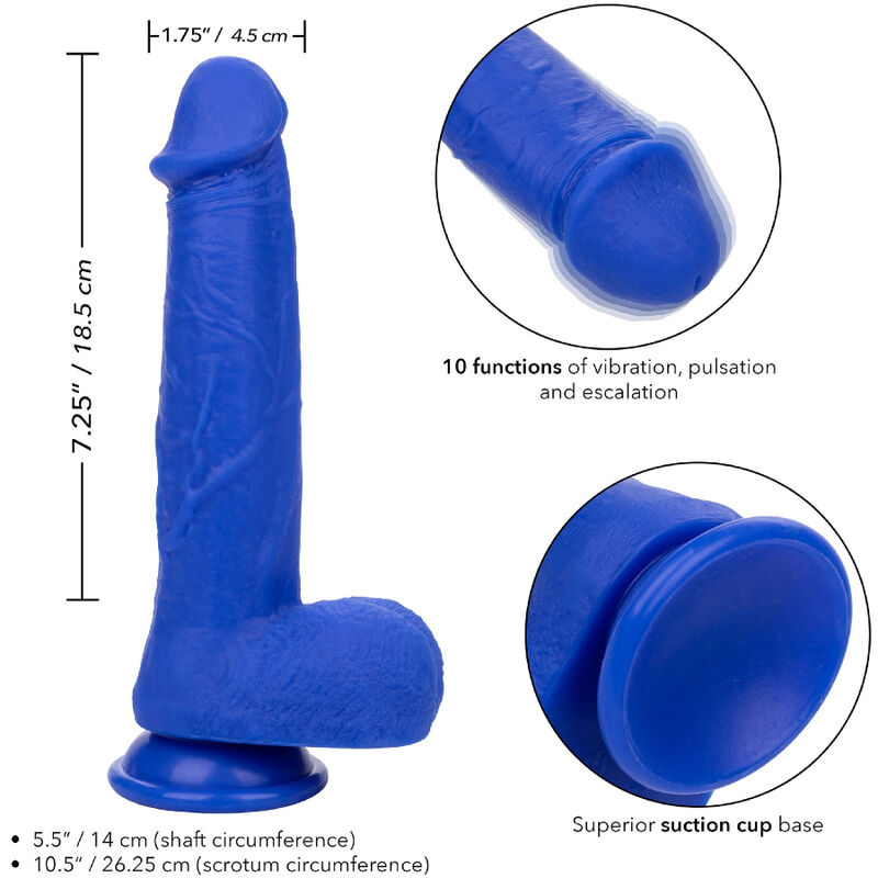 Admiral vibrateur gode réaliste captain bleu — CALEXOTICS, vue 4