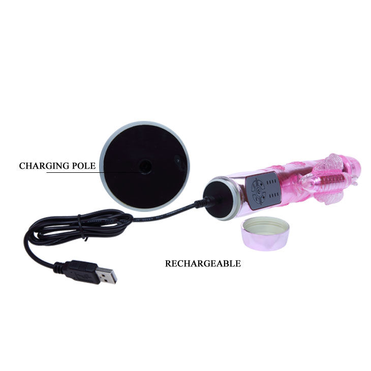US lapin papillon palnitant — BAILE, vue 10