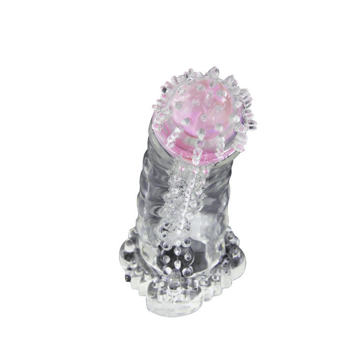 Extension de capteurbrave II MAN — BAILE, vue 6
