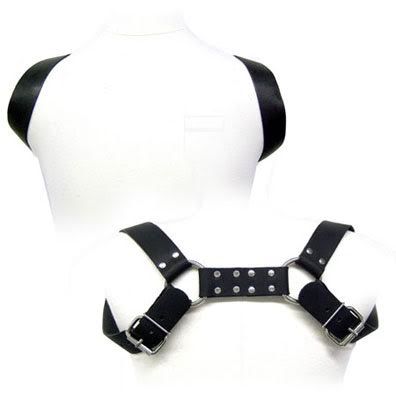 Holster