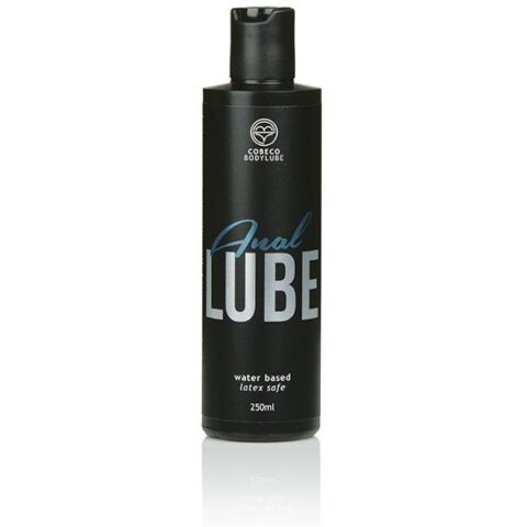 Bodylube lubrifiant anal sécuritaire au latex 250ML — COBECO