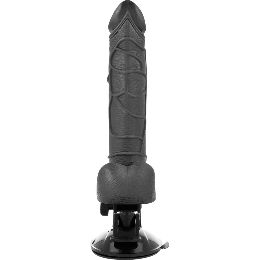 Vibrateur réaliste télécommande noir avec testicules 19.5 CM -O- 4 CM — BASECOCK, vue 3
