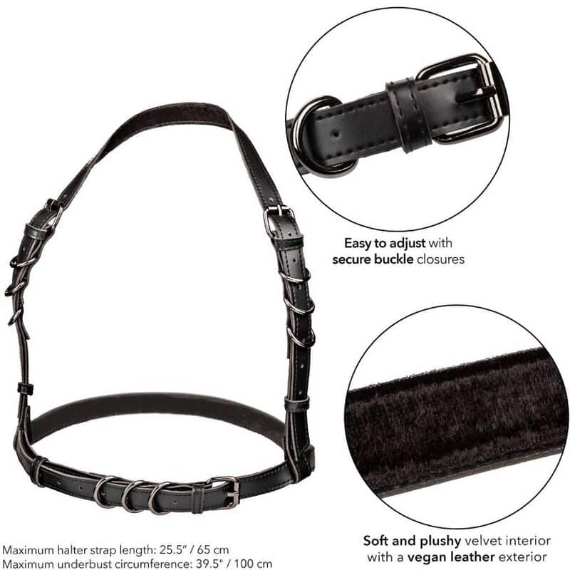 Euphoria harnais boucle licol noir — CALEXOTICS, vue 5