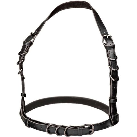 Euphoria harnais boucle licol noir