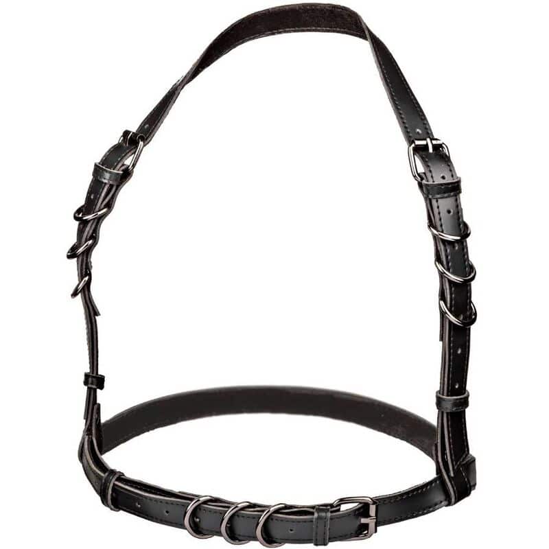 Euphoria harnais boucle licol noir — CALEXOTICS