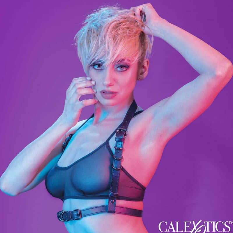 Euphoria harnais boucle licol noir — CALEXOTICS, vue 2