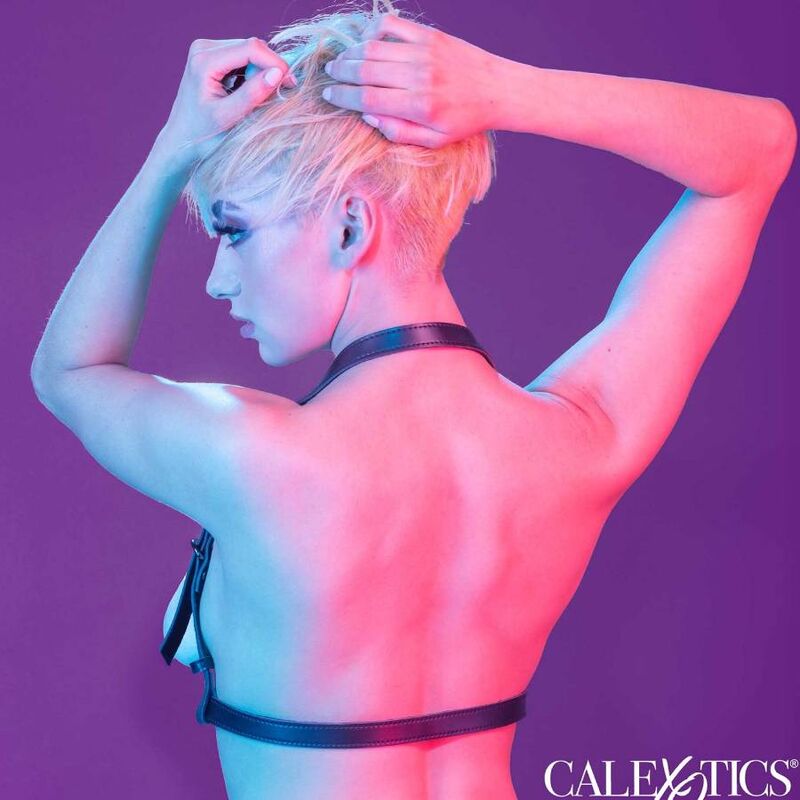 Euphoria harnais boucle licol noir — CALEXOTICS, vue 6