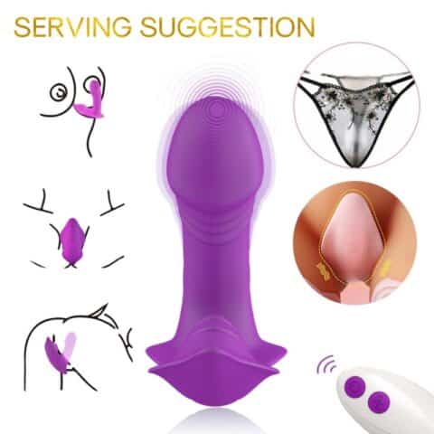 Sifflet vibrateur introduction télécommande violet — ARMONY