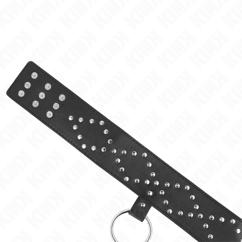Collier 65 CM avec laisse avec clous argentés modèle 3 réglable 36-43 CM X 5 CM — KINK, vue 6