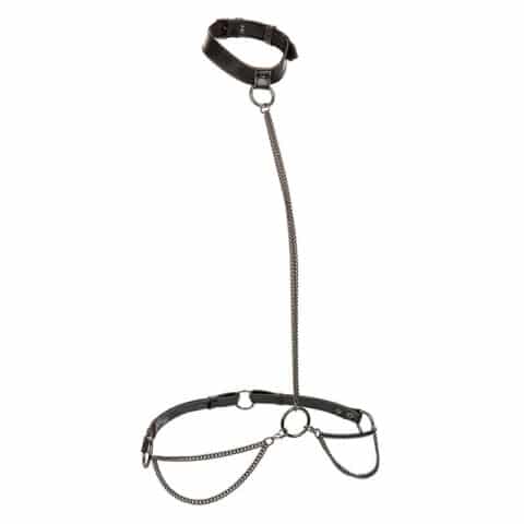 Euphoria collier licol et laisse grande taille