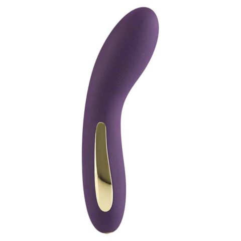 Vibrateur violet luminate light — TOYJOY