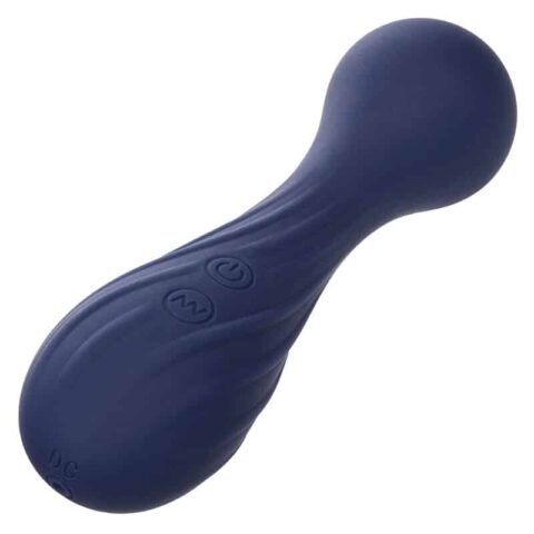 Charisma temptation masseur 12 fonctions violet