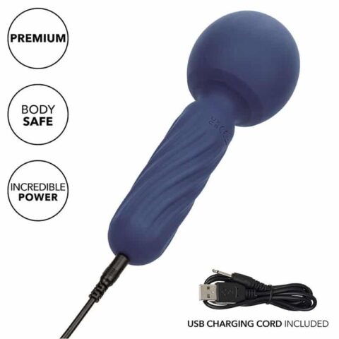 Charisma seduction masseur 12 fonctions 17,75 CM X 6,25 CM violet — CALEXOTICS