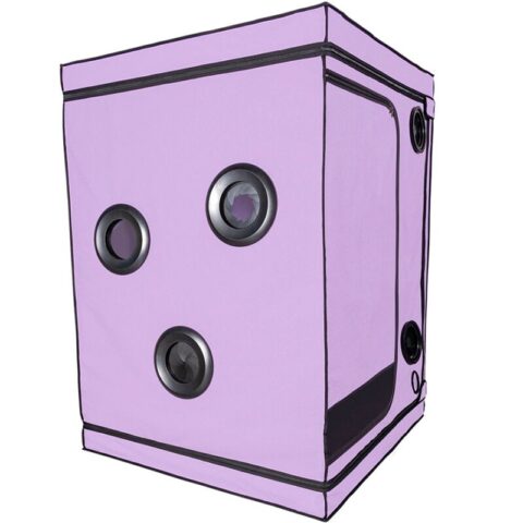 Kink club cabine scandale purple — SECRET DOME