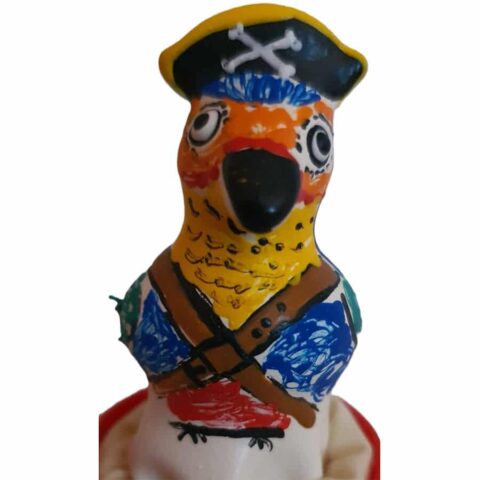 Préservatifs fantaisie peints à la main captain parrot — CONDOMERIE