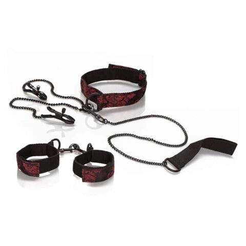 Scandal KIT de soumission — CALEXOTICS
