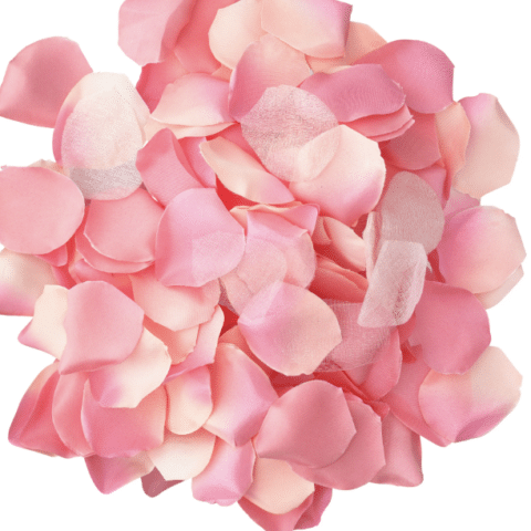 100 Pétales roses — DIABLO PICANTE