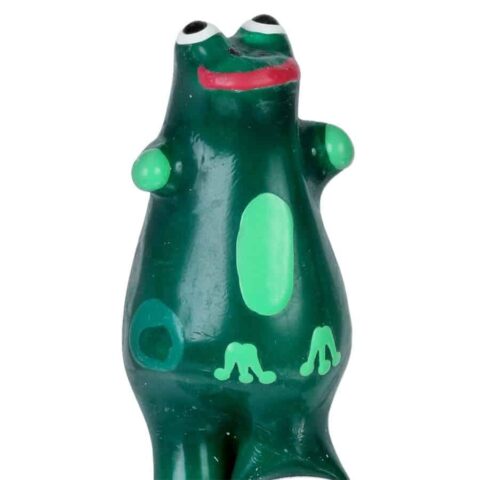 Préservatifs fantaisie peints à la main modèle grenouille XL