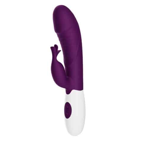 Vibrateur lapin rogue muse 30 fonctions violet — PRETTY LOVE