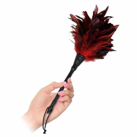 Caresseur de plumes noires et rouges — FETISH FANTASY SERIES
