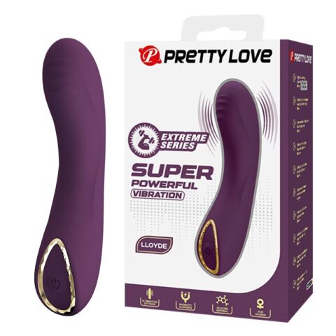 Vibrateur rechargeable lloyde 10 fonctions violet — PRETTY LOVE