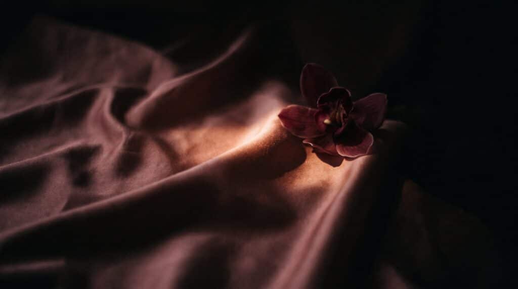 Drap de soie rose poudré traversé par un rai de lumière chaude, une orchidée sombre posée sur le pli.